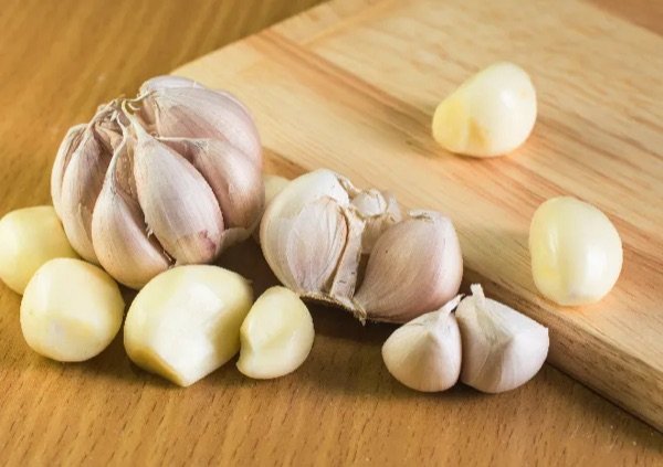 Bawang putih berkualitas untuk kebutuhan bisnis kuliner